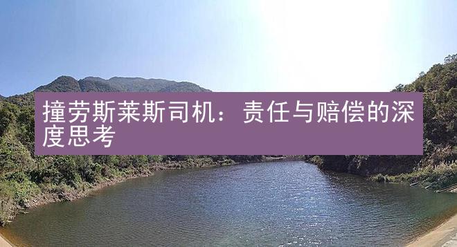 撞劳斯莱斯司机：责任与赔偿的深度思考