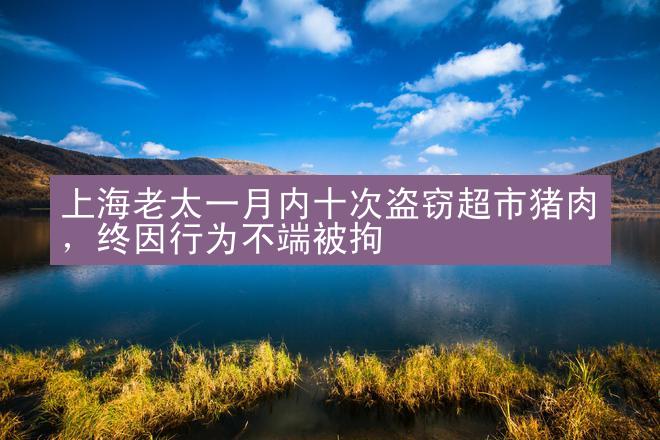 上海老太一月内十次盗窃超市猪肉，终因行为不端被拘