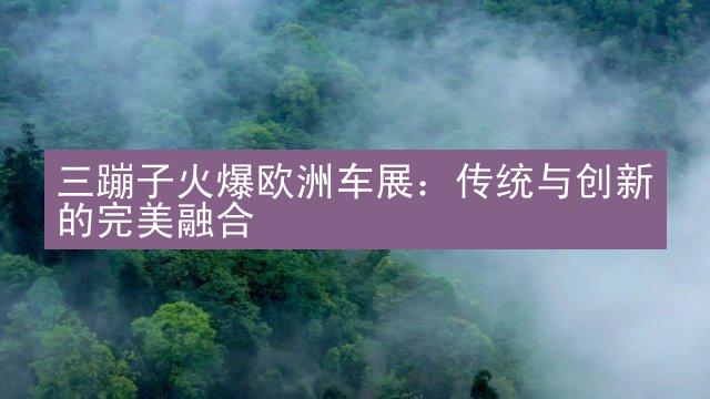 三蹦子火爆欧洲车展：传统与创新的完美融合