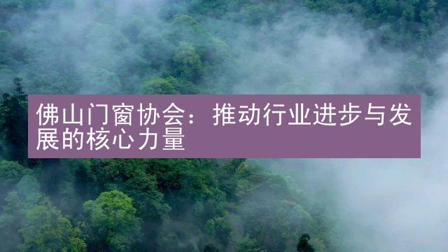 佛山门窗协会：推动行业进步与发展的核心力量