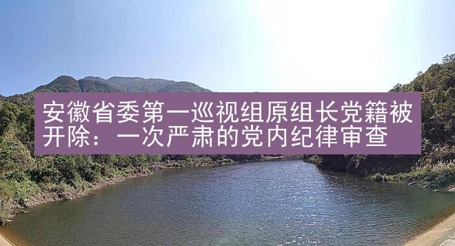 安徽省委第一巡视组原组长党籍被开除：一次严肃的党内纪律审查