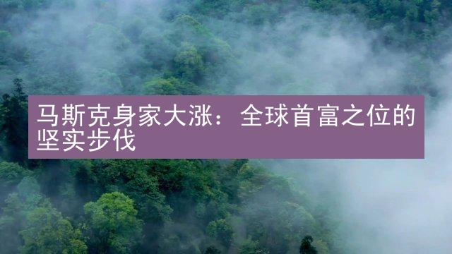 马斯克身家大涨：全球首富之位的坚实步伐