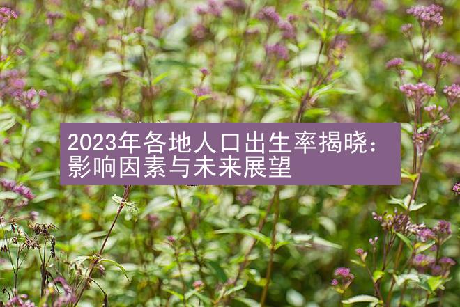 2023年各地人口出生率揭晓：影响因素与未来展望