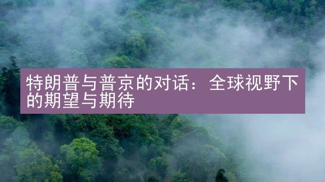 特朗普与普京的对话：全球视野下的期望与期待