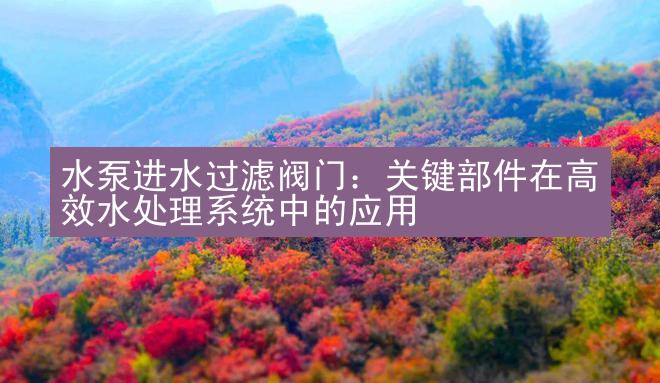 水泵进水过滤阀门：关键部件在高效水处理系统中的应用