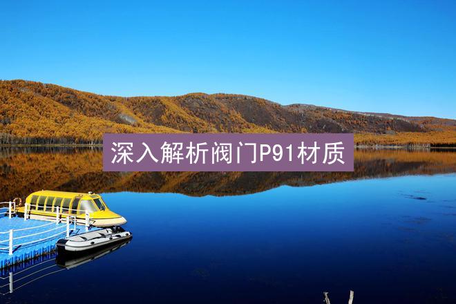 深入解析阀门P91材质