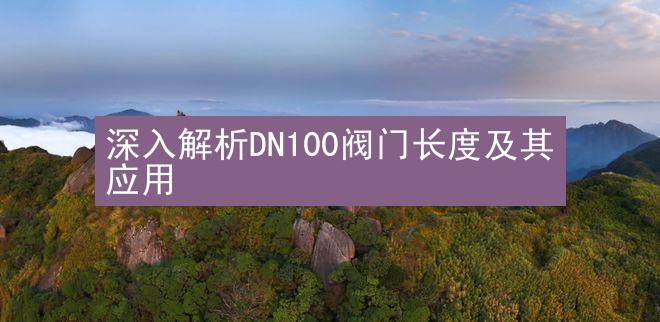 深入解析DN100阀门长度及其应用