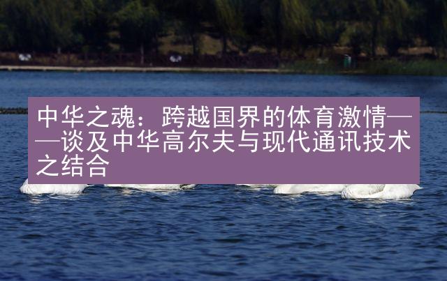 中华之魂：跨越国界的体育激情——谈及中华高尔夫与现代通讯技术之结合