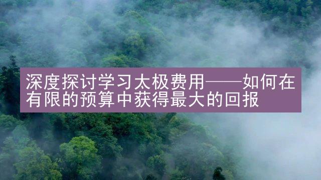 深度探讨学习太极费用——如何在有限的预算中获得最大的回报