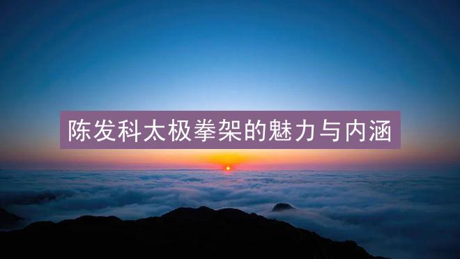 陈发科太极拳架的魅力与内涵