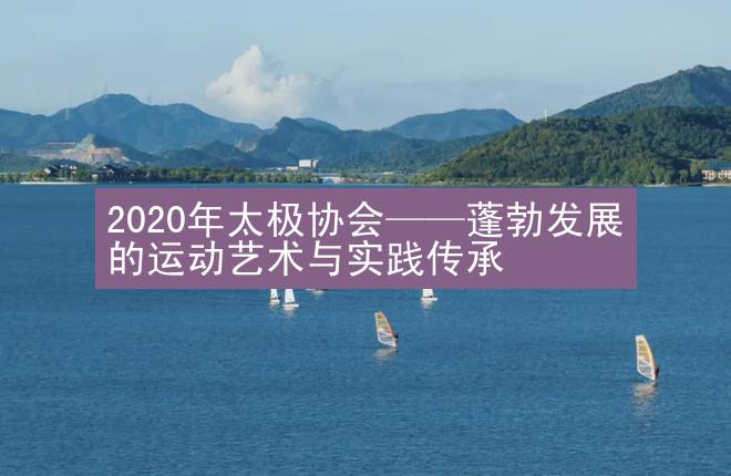 2020年太极协会——蓬勃发展的运动艺术与实践传承