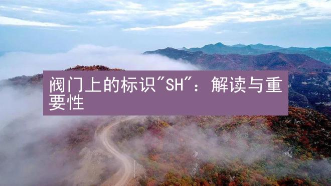 阀门上的标识"SH"：解读与重要性