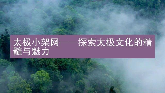 太极小架网——探索太极文化的精髓与魅力