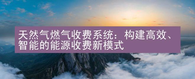 天然气燃气收费系统：构建高效、智能的能源收费新模式