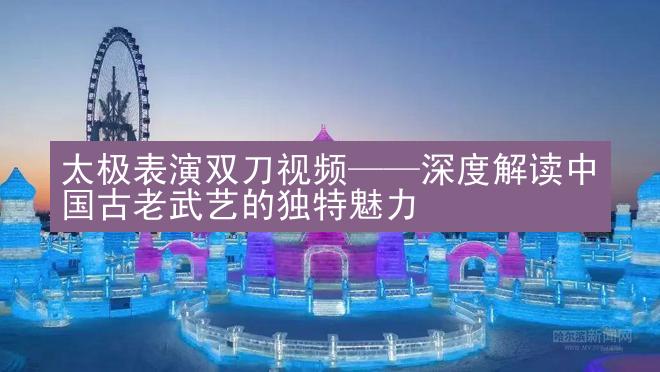 太极表演双刀视频——深度解读中国古老武艺的独特魅力