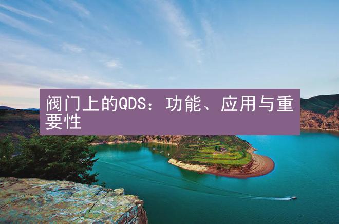 阀门上的QDS：功能、应用与重要性