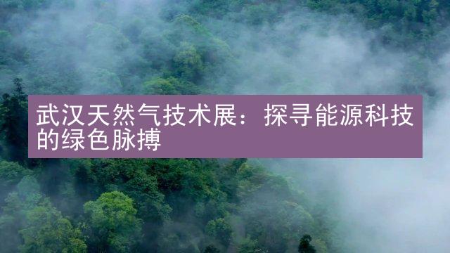 武汉天然气技术展：探寻能源科技的绿色脉搏